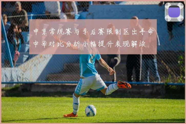 申京常规赛与季后赛限制区出手命中率对比分析小幅提升表现解读