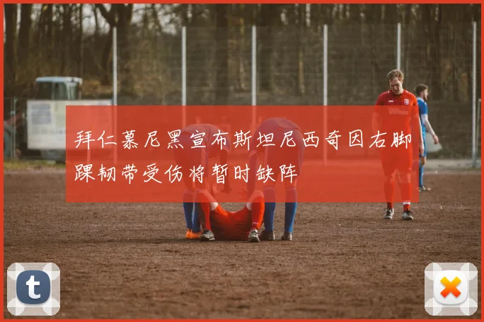拜仁慕尼黑宣布斯坦尼西奇因右脚踝韧带受伤将暂时缺阵